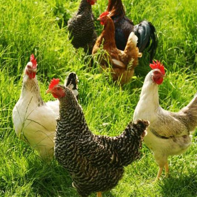 �����(l��i)